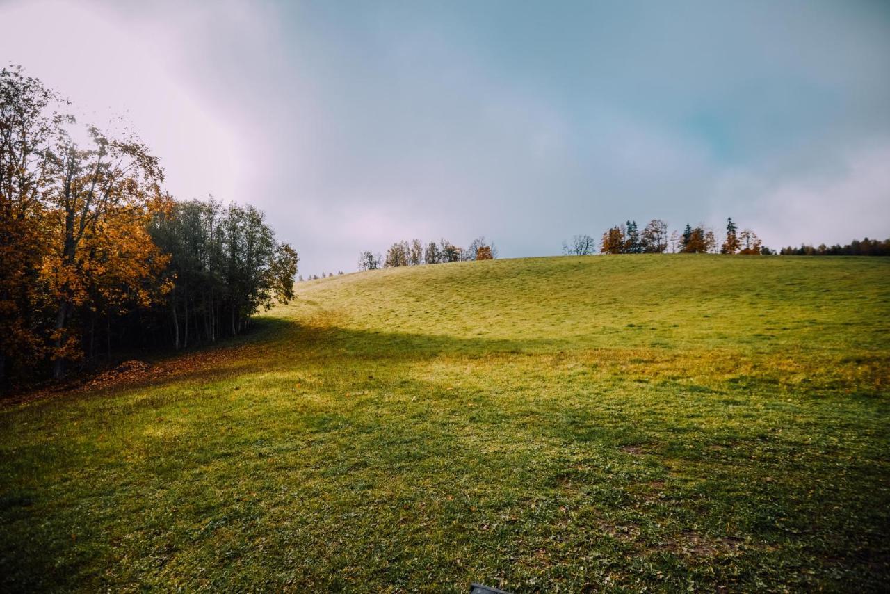 Unique Tiny House Getaway In The Nature - Kensho Puugi Eksteriør billede